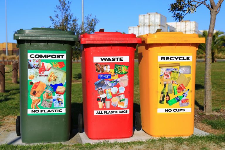 Gestión de Envases y Residuos: Hacia una Economía Verde