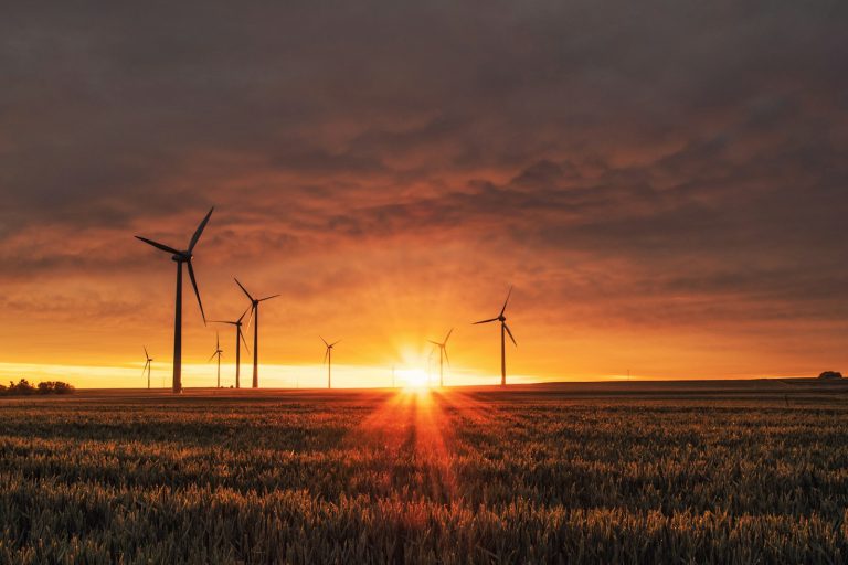 Transición Verde: Envases y Residuos Sostenibles